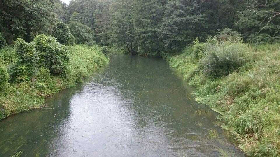 Atrakcyjna działka 4 891m² - Główka, gm. Gołdap