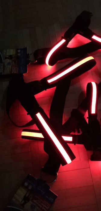 Psiowe szelki, uprząż TRIXIE świecące szelki norweskie ładowane z USB