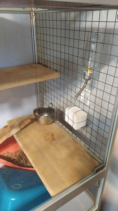 Вітрина-клітка для шиншил