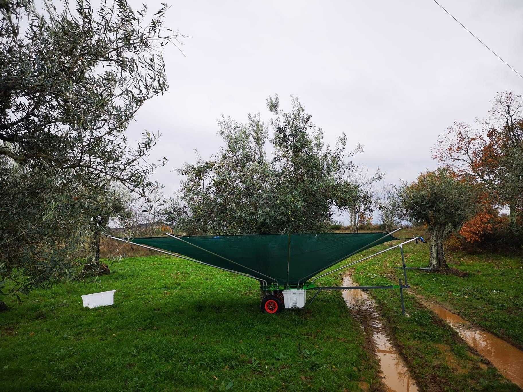 Olitree - Apanha azeitona - Toldos - Panais - Amêndoa- Panos - toldes