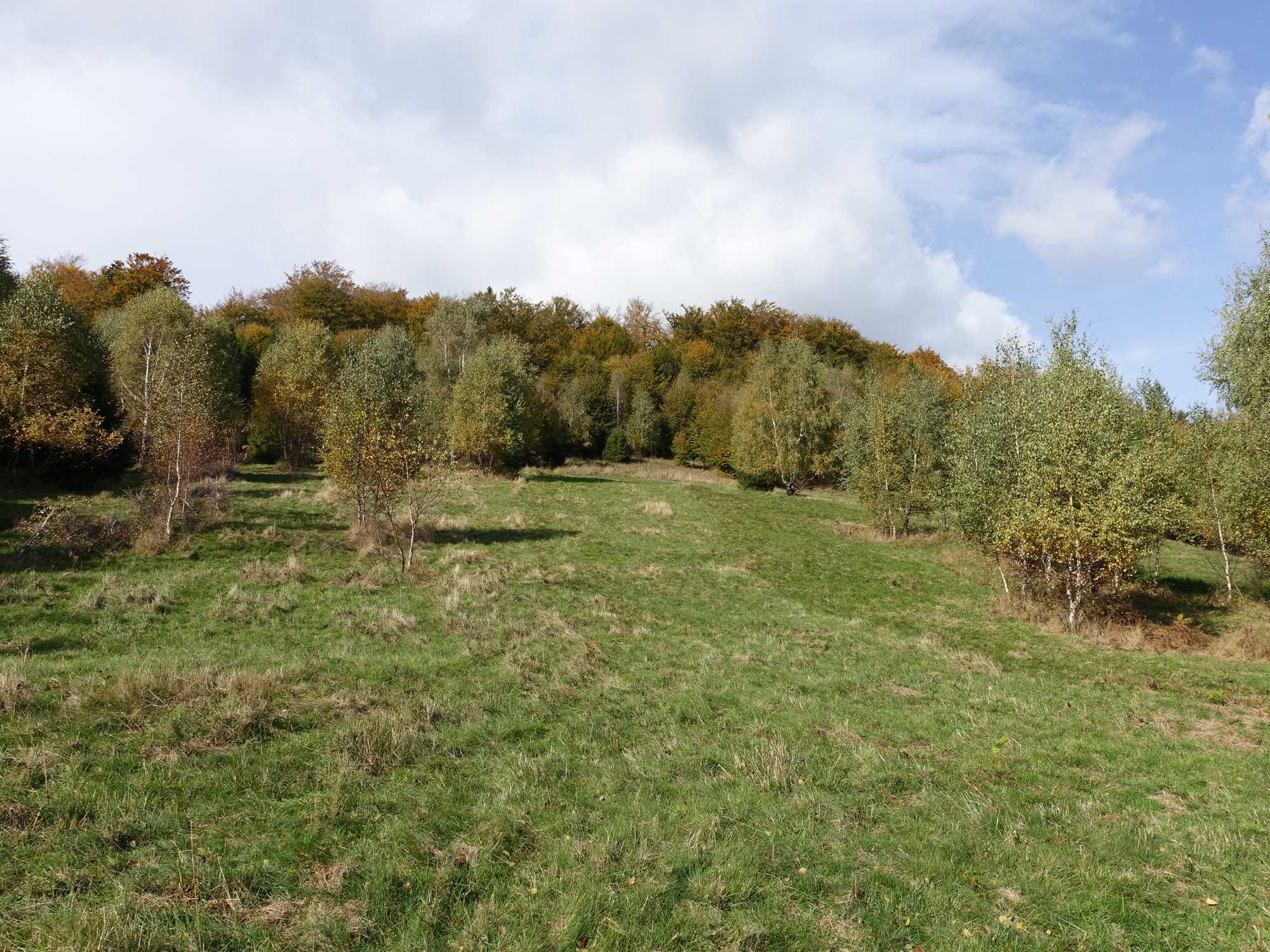 Brenna 2,53 ha inwestycyjna blisko wyciągu orczykowego piękna panorama