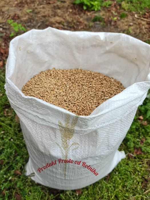 Pszenica opakowanie 25kg wysyłamy Inpost