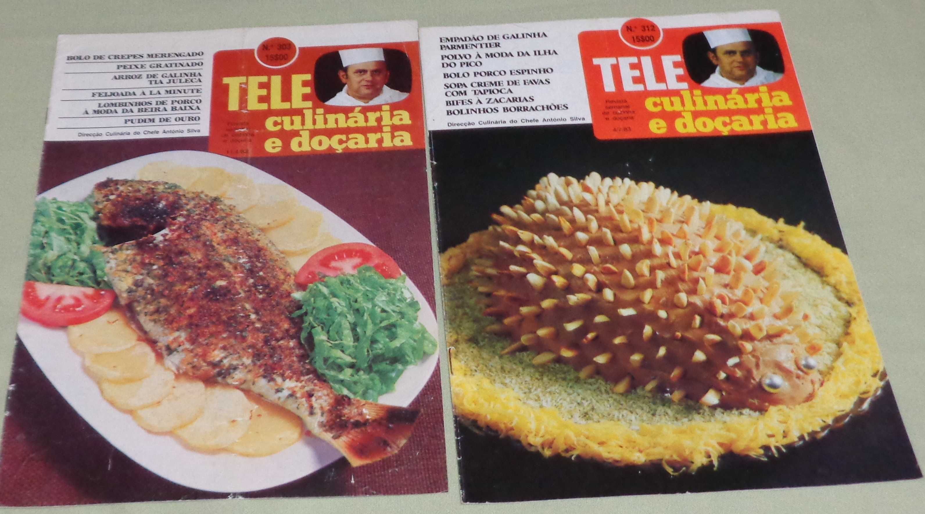 Conjunto de 12 revistas Teleculinária (11 normais e 1 especial)