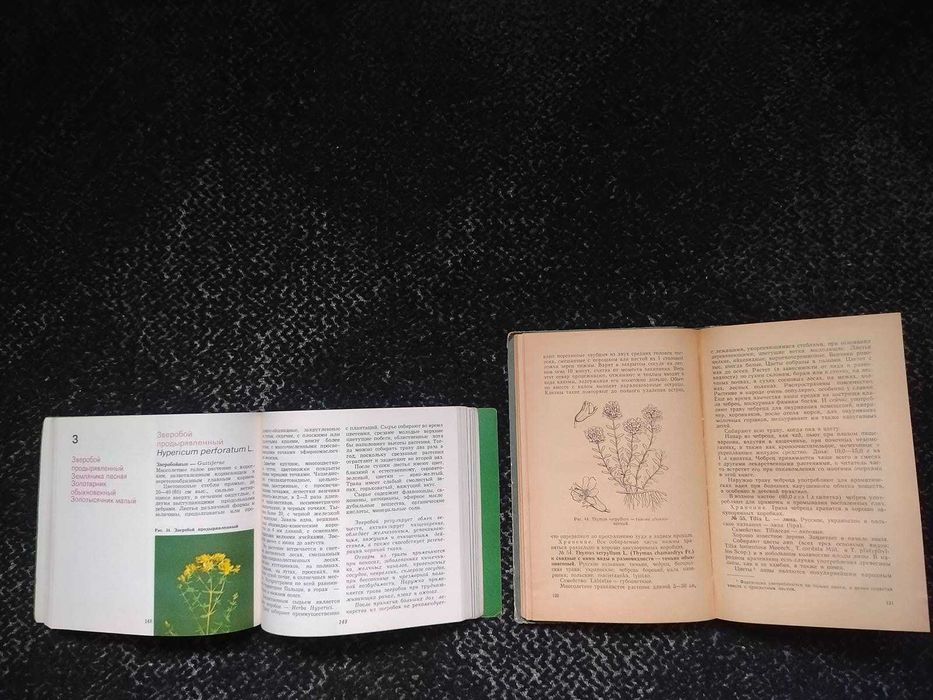 Носаль Лек растения Поляковска Лесные лекарственные растения Одним лот