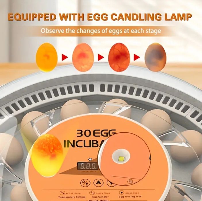 Incubadora Automática / Chocadeira 30 Ovos - Nova