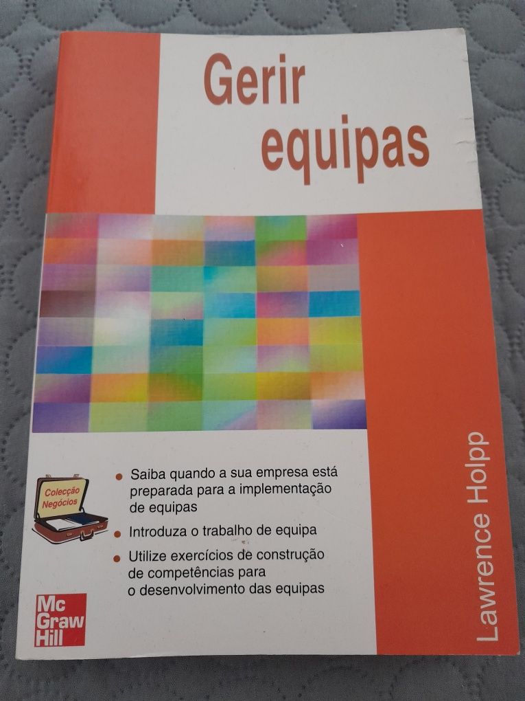 Livro Gerir Equipas