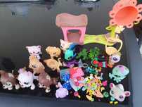 Little pet shop z domkiem