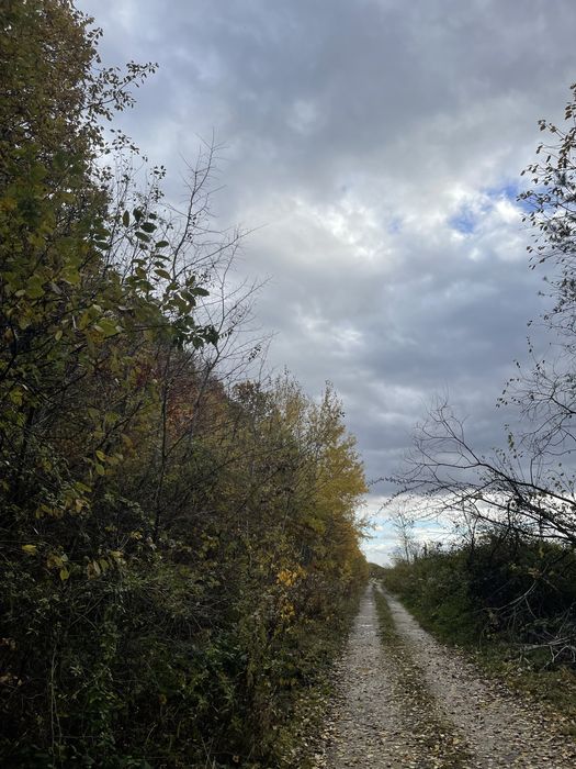 Продаж ділянки 43,5 сотки,Кротошин, Львів