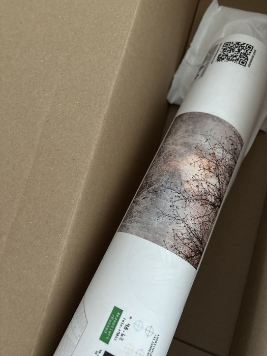 Fototapeta drzewa galazki boho na scianie 300x210