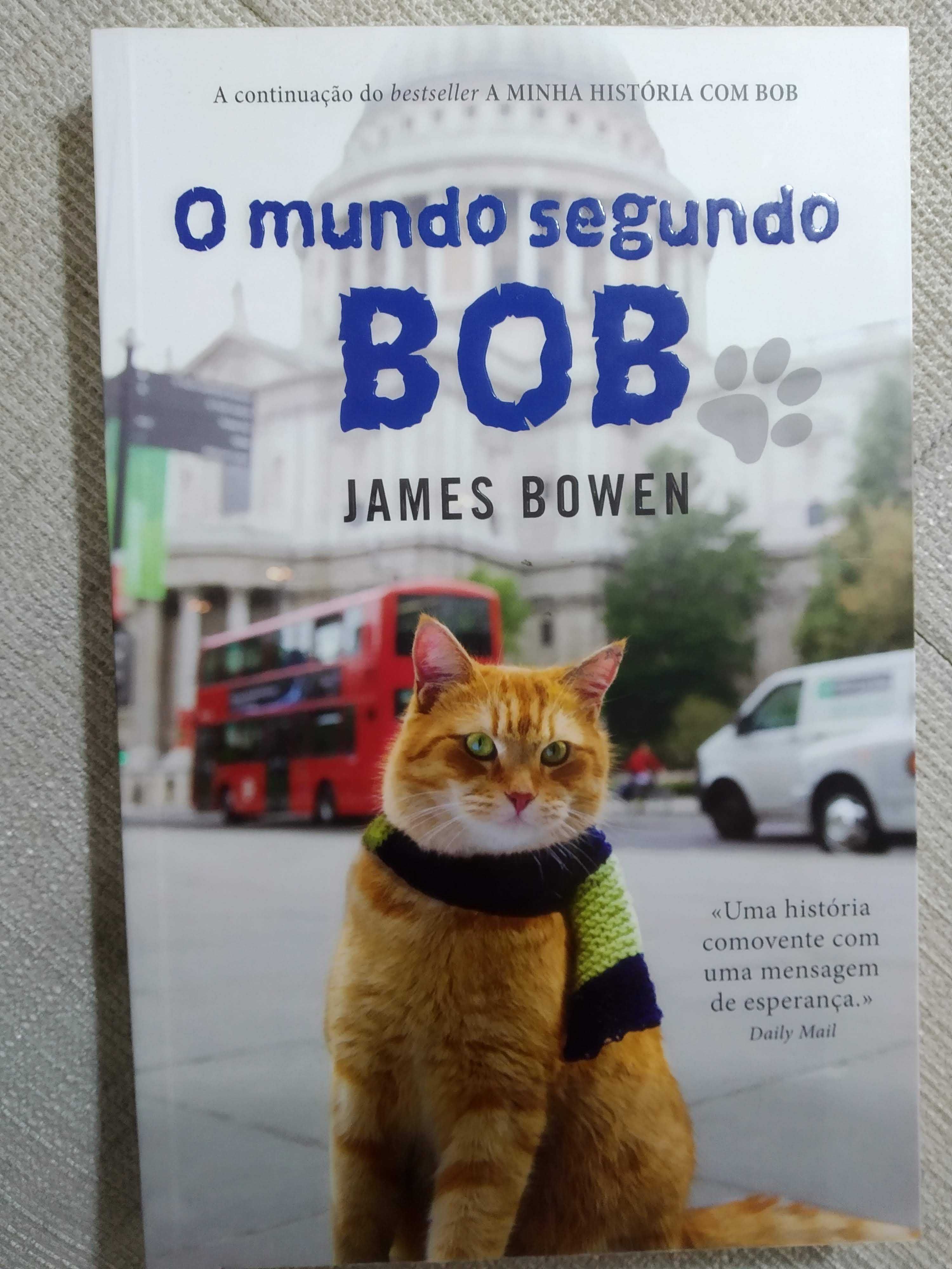 Livro - O mundo segundo Bob