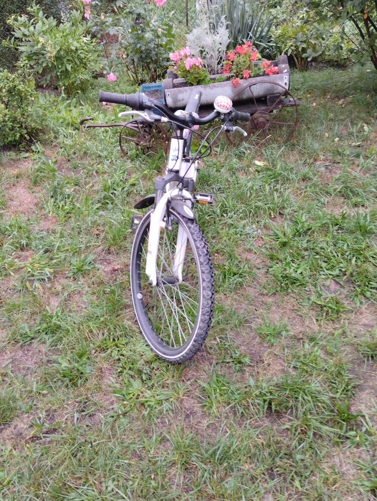 Rower Scott Contensa 24 całe, amortyzatory