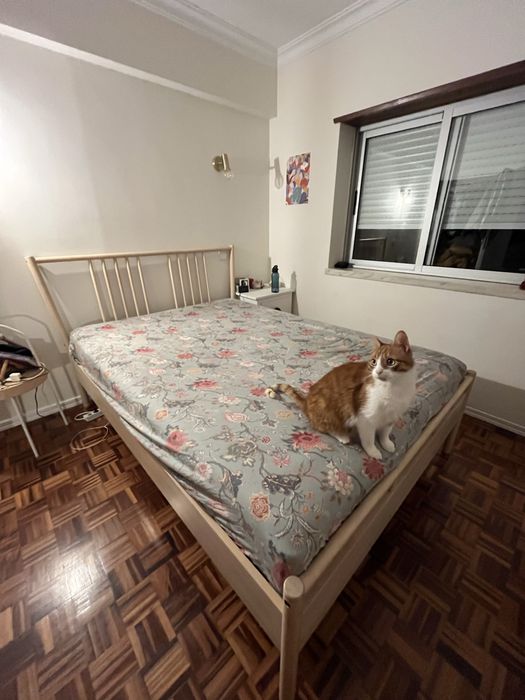 Cama 140*200 IKEA Björksnäs e colchão Valevåg