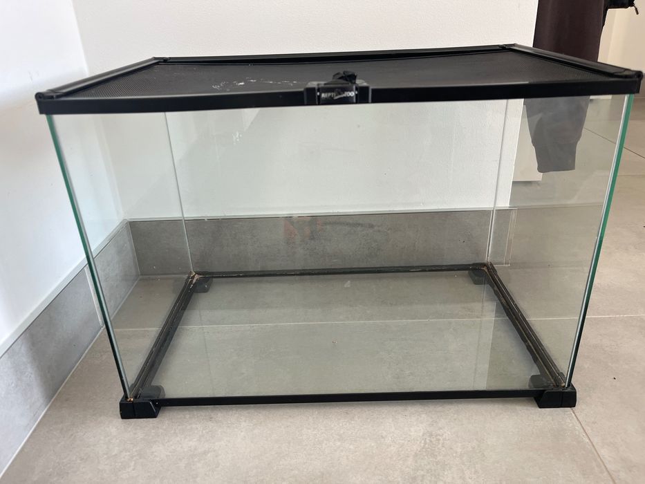 Akwarium dla żółwia