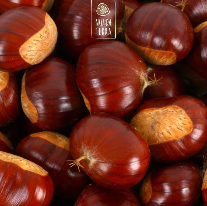 Castanhas Orgânicas Frescas