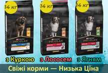 Оригінал Корм Pro Plan для Собак: Курка, Ягня, Лосось. Великі Знижки!