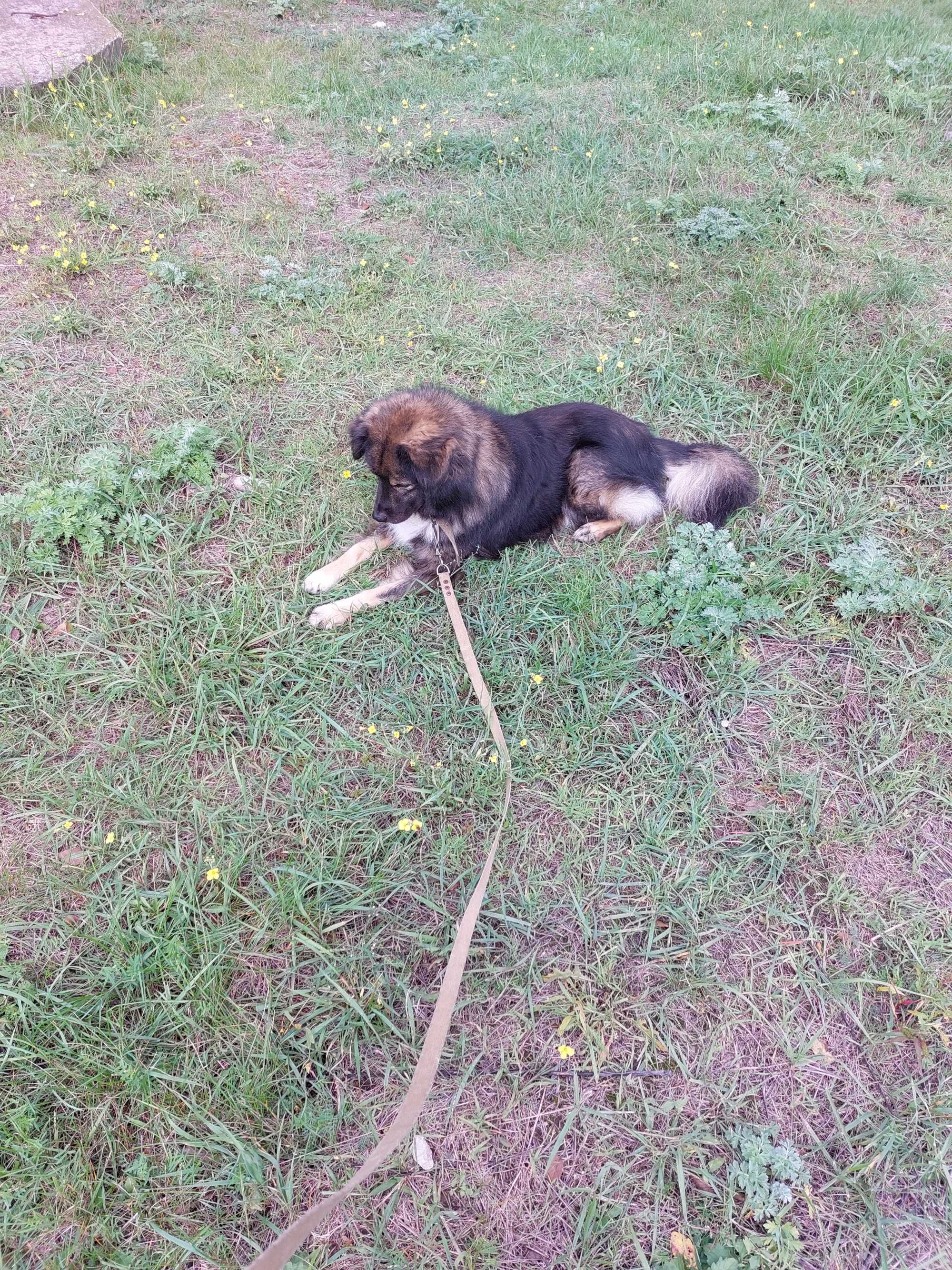 Майкл шукає люблячу родину