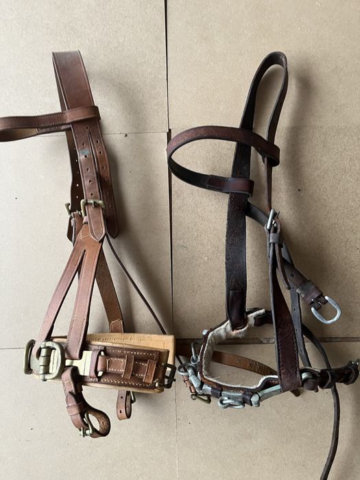 Serrelhão …………..