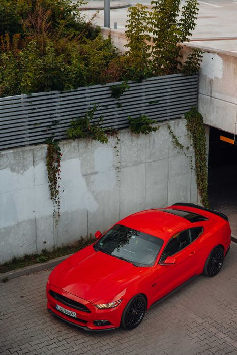 Wynajem Ford Mustang 5.0 GT - Wynajem auta na doby