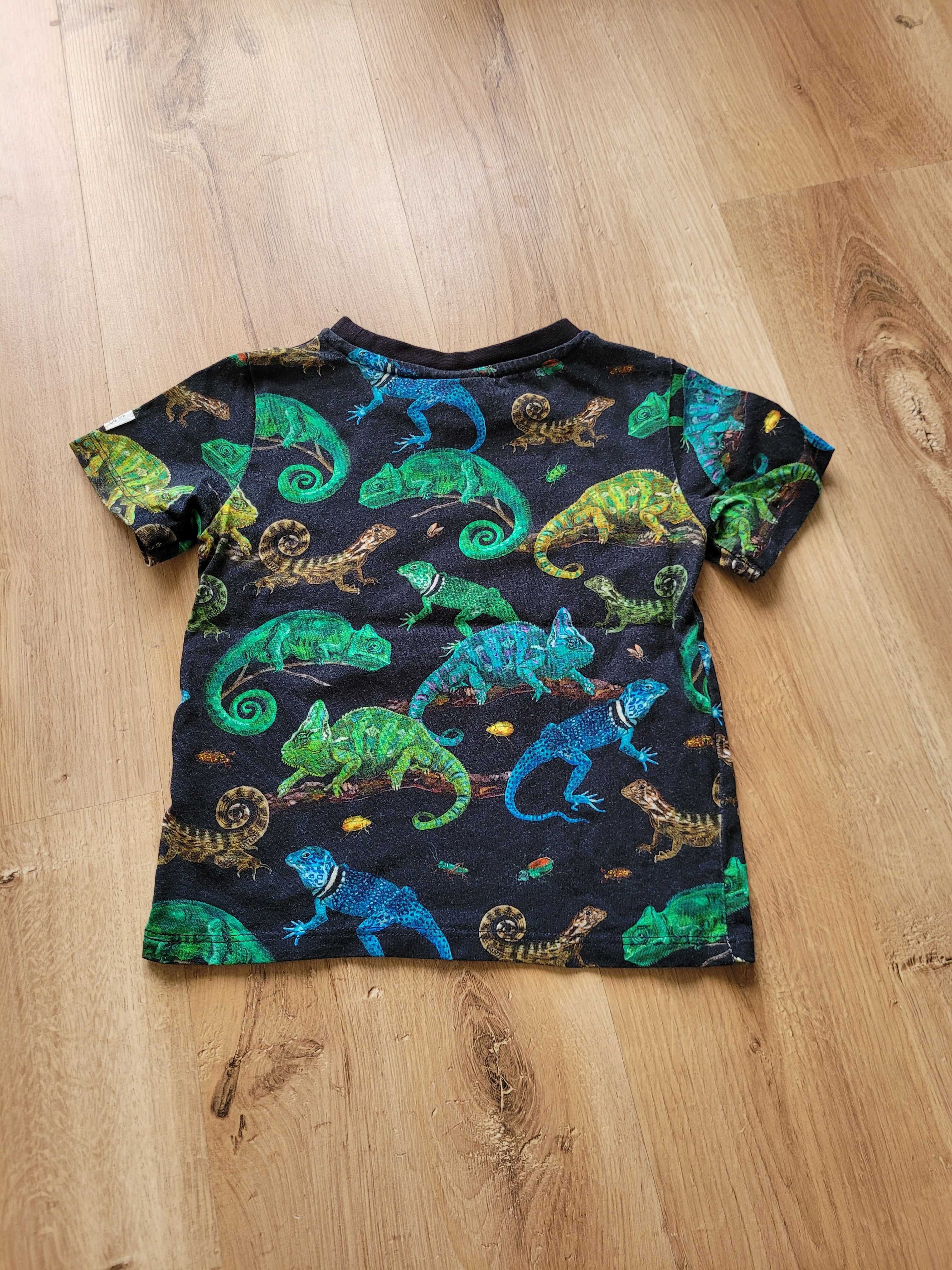 T-shirt H&M 92 18-24 niemowlęcy chłopięcy wzór bawełna lato
