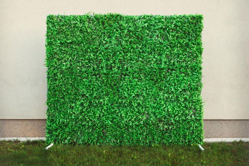 Zielona ścianka dekoracyjna / fotograficzna