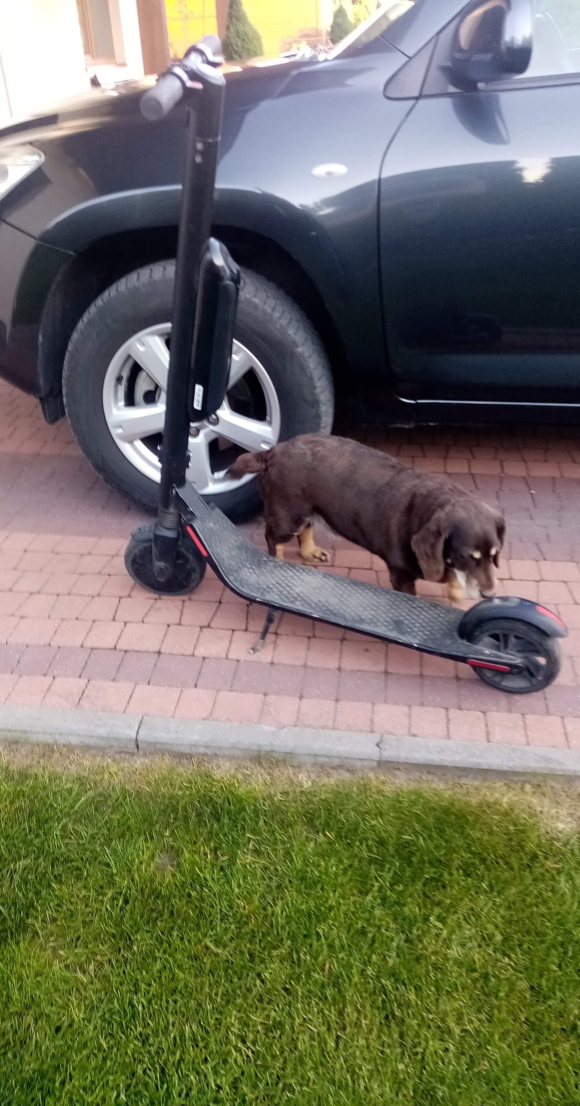 hulajnoga elektryczna segway es4 (na części)