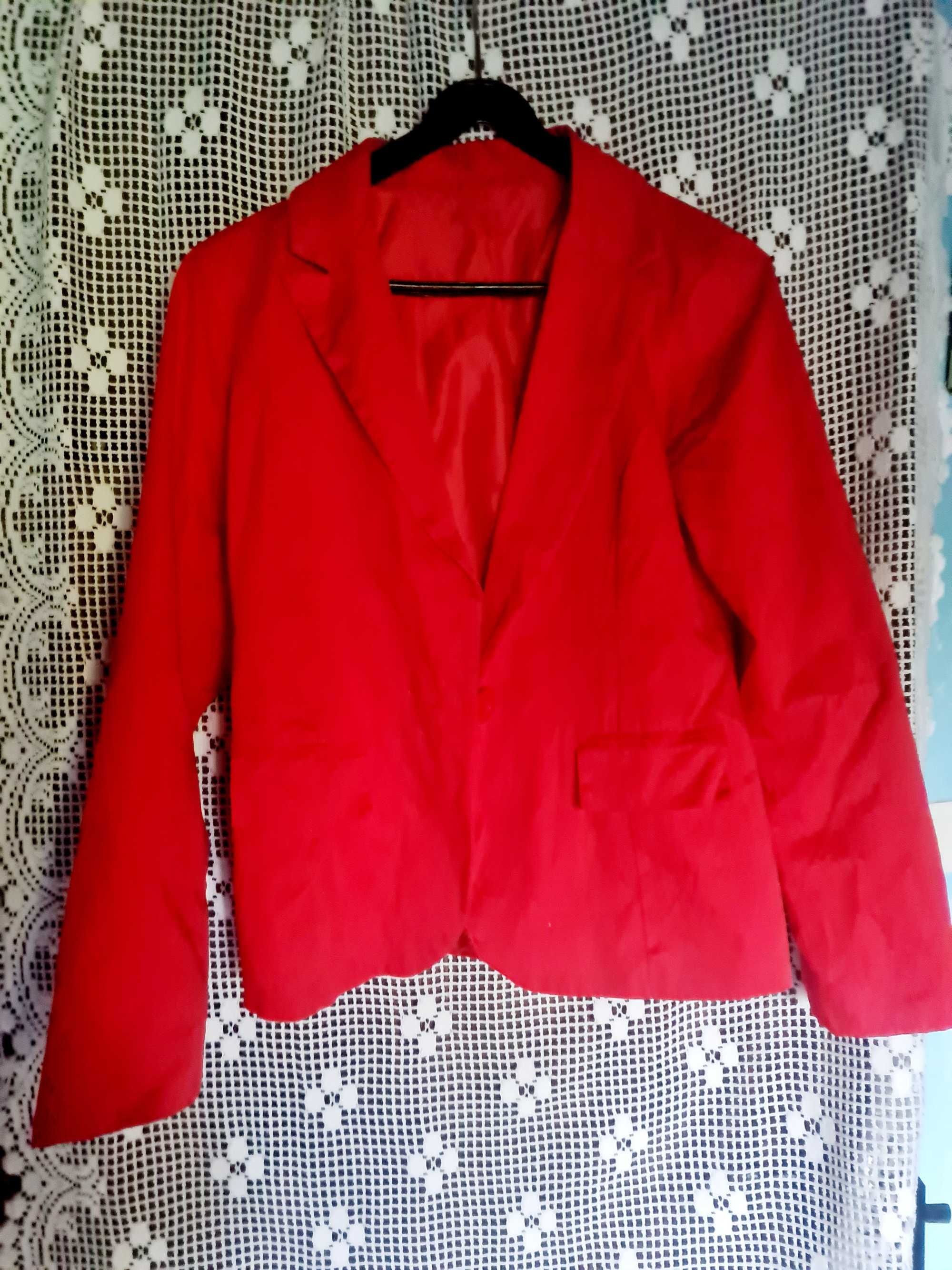 Elegancki czerwony żakiwt
