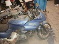 Kawasaki gpz 500 vs casal 2