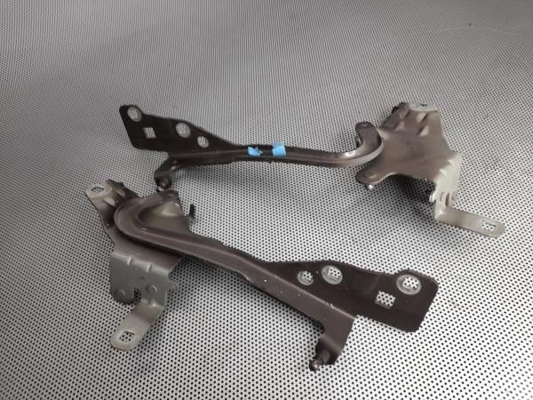 Dobradiça capot RENAULT Scénic III (JZ0/1_)