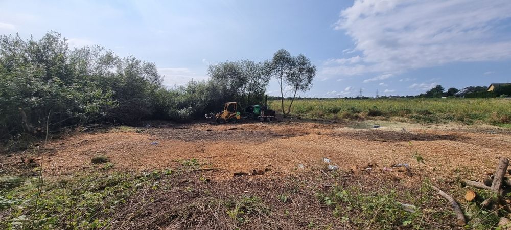 Wycinka drzew przycinanie wywóz gałęzi Rębak karczowanie terenów