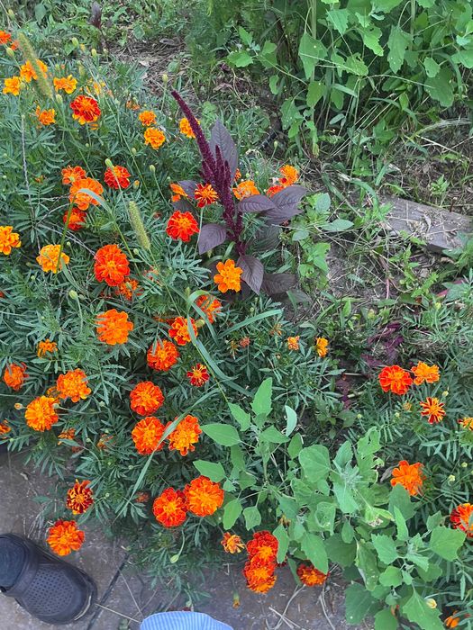 Здам будинок з гаражем  с.Ревне Біля Гора Гнідин Щасливе Вишеньки