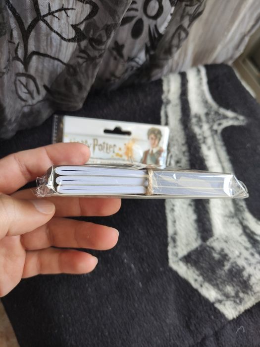 Agenda do Harry Potter