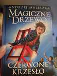 Książka czerwone krzesło