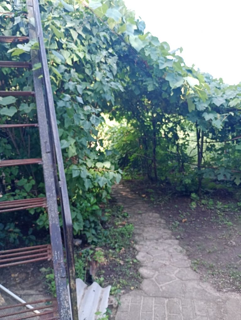 Продам будинок Миронівка Кагарлик Потік