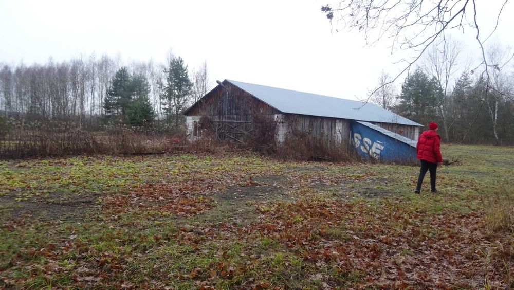 Sprzedam tartak w Pisklakach gmina ŁUKOWA pow. Biłgoraj