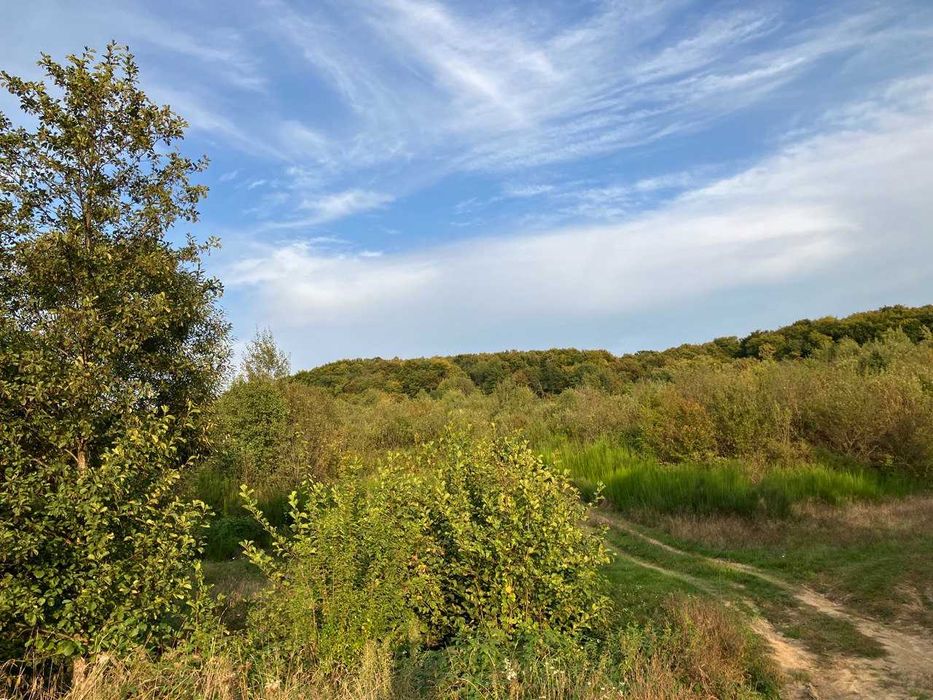 земельна ділянка осг 2га панорамна мукачево
