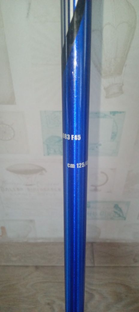 Лыжи горные DYNAMIC 170 см + палки Technopro 125 см