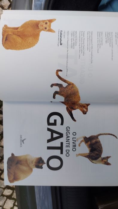 O Livro Gigante do Gato