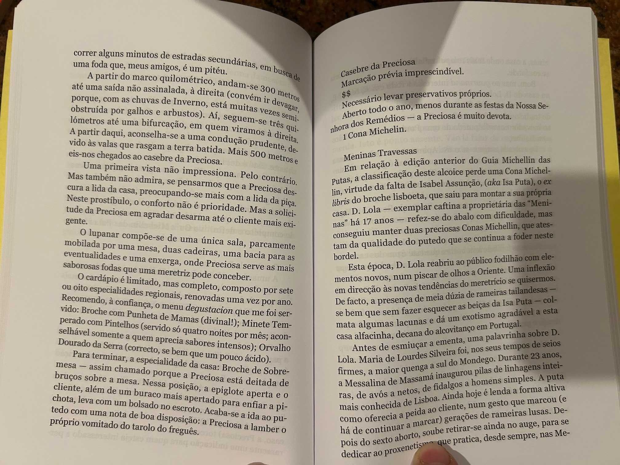 O meu pipi - diário
