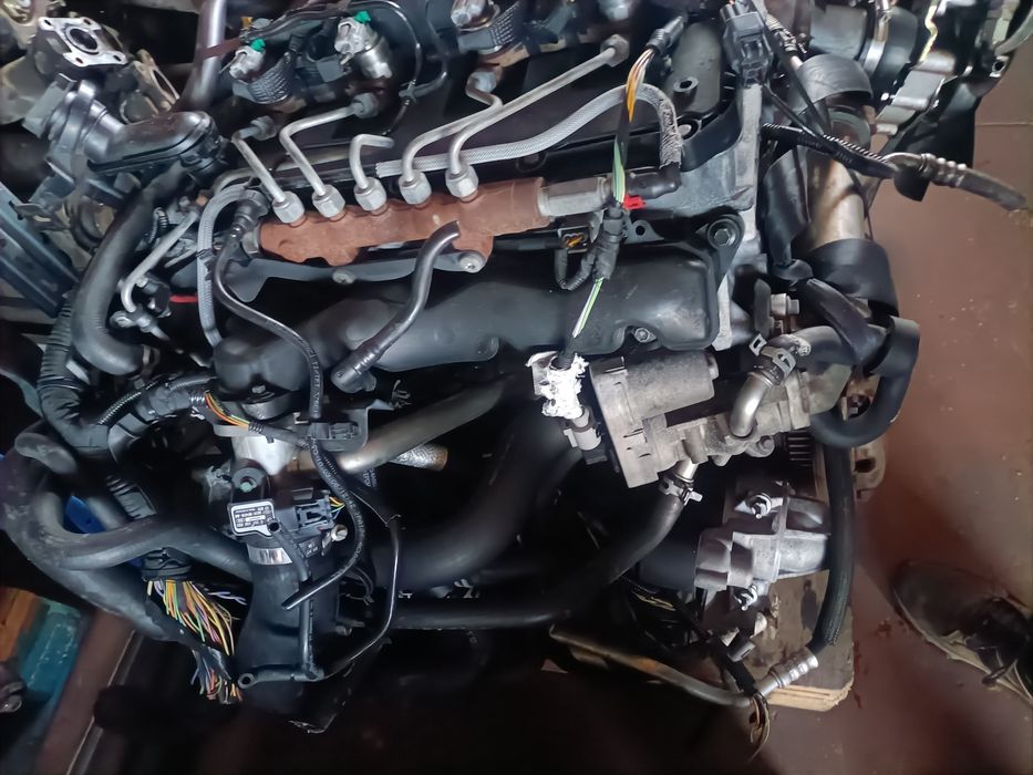 Motor Ford Transit h9 fb