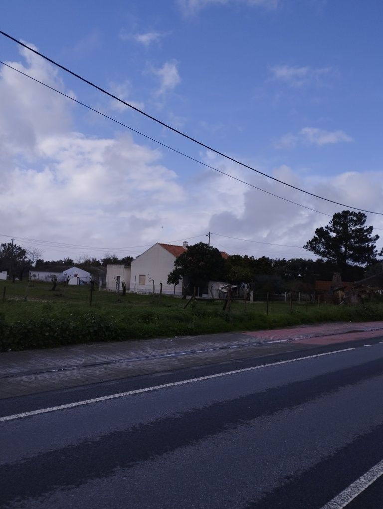 Terrenos para alugar em Grândola