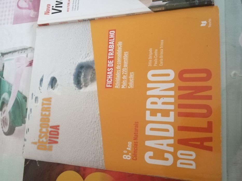 Cadernos de atividades 8*ano USADOS