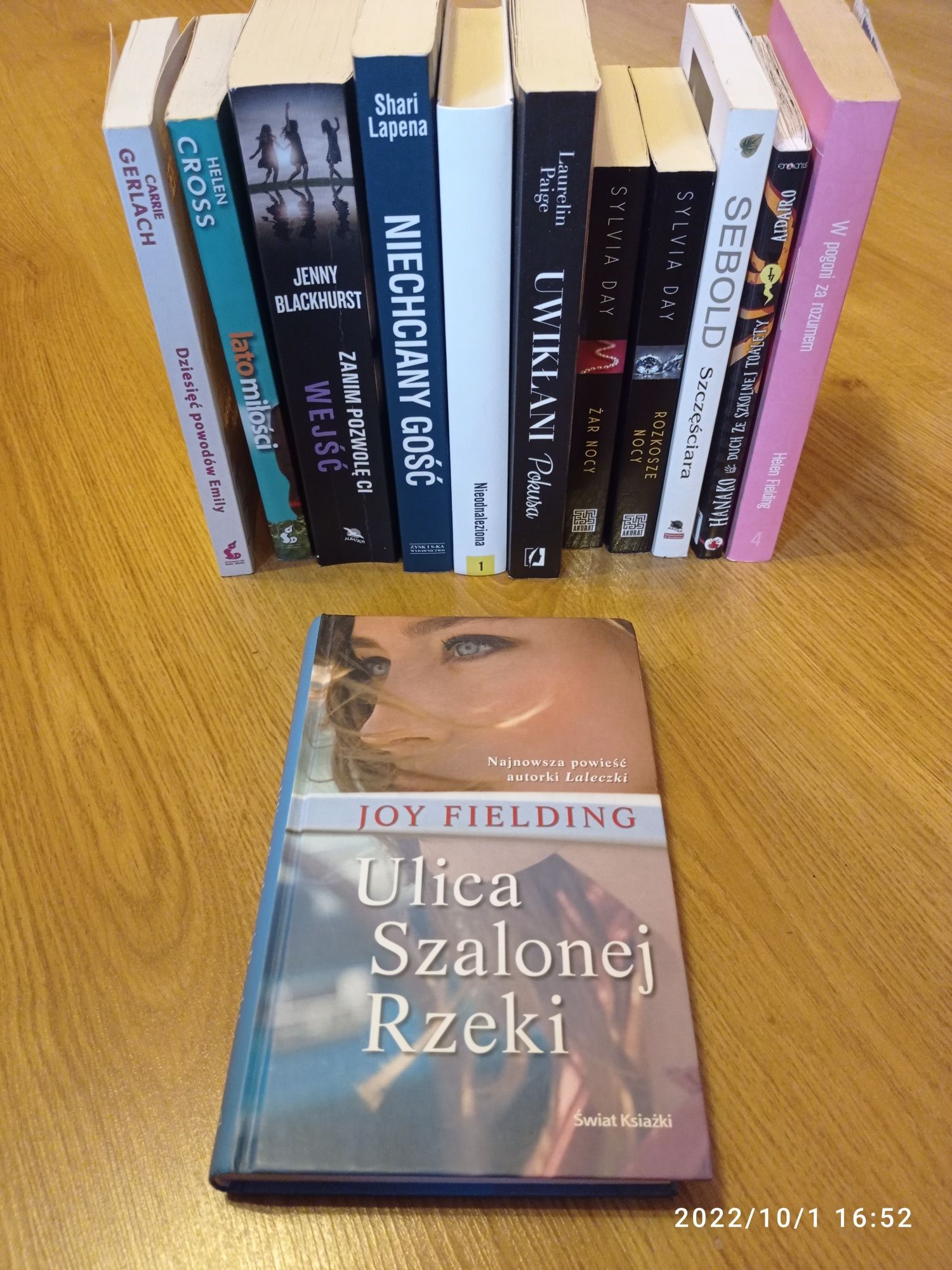 Ulica Szalonej Rzeki - Joy Fielding