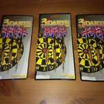 3 setas darts profissional