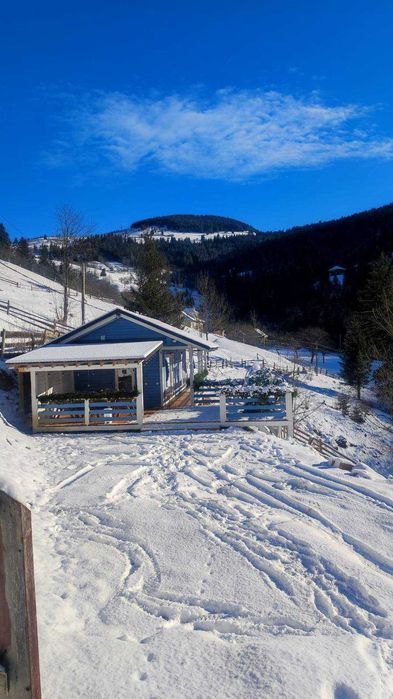 Відпочинок в Карпатах. Садиба Ековид та інстабудиночок Ekovyd Haus