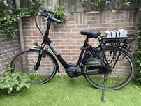 Gazelle Paris c7+