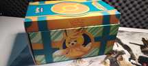 Box Pokemon Edição Colecionador