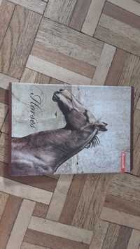 Zeszyt w kratkę 96 kartek format A5 szkolny edukacja horses piękny koń