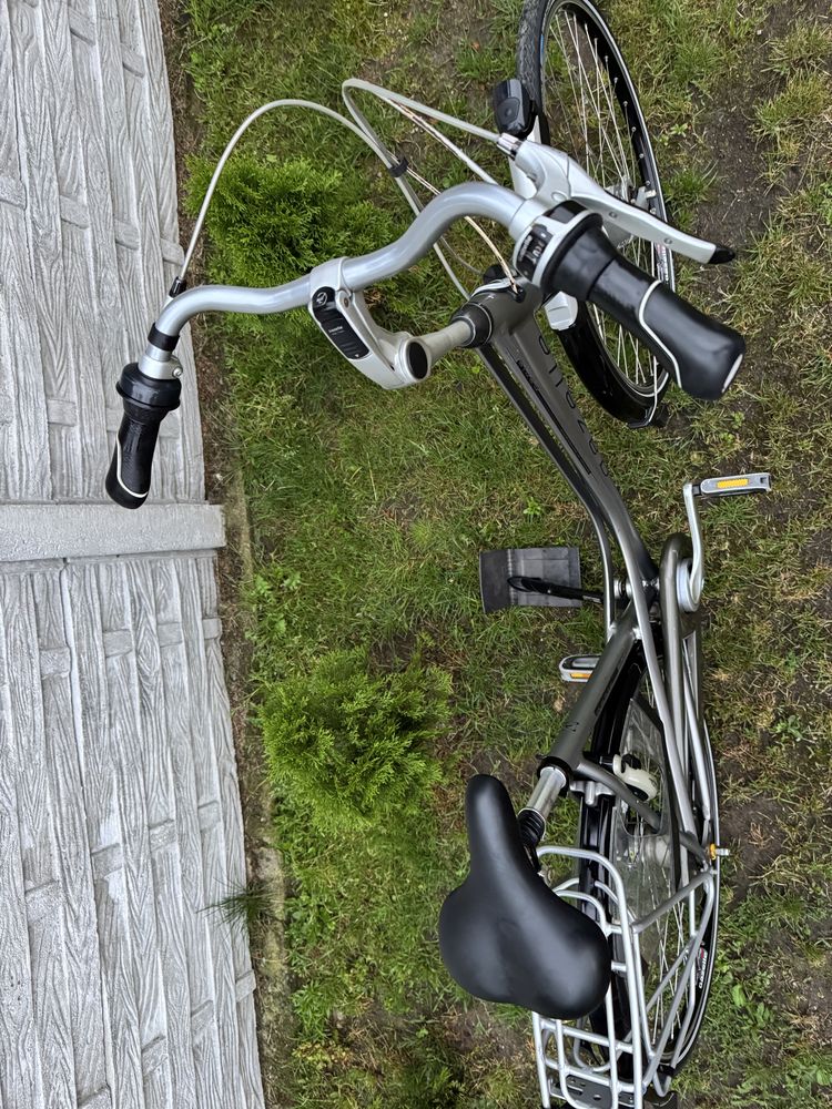 Gazelle paris plus Super stan D53