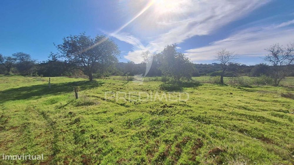 Terreno Rustico em Loulé próximo da Fábrica da Cimpor