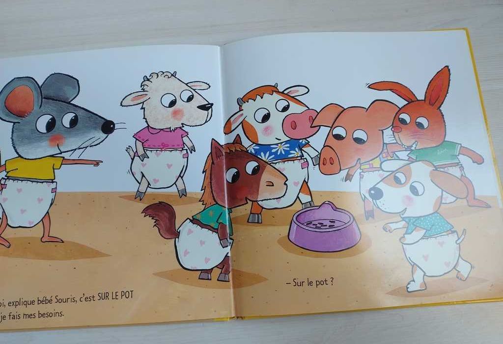 Książka francuska dla dzieci Livre français pour enfants avec rabats